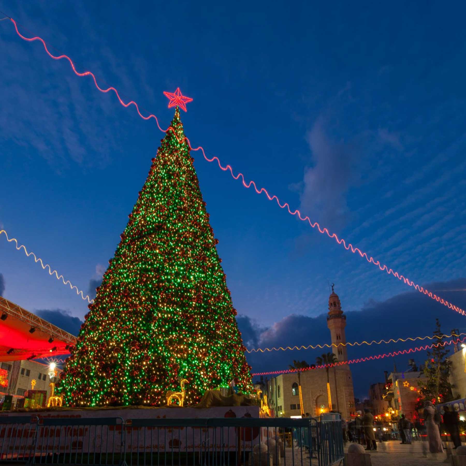 How Professional Holiday Lights Decorators Work Their Magic How Professional Holiday Lights Decorators Work Their Magic