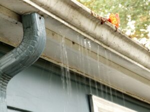 Ultimate Roof Cleaning Solution